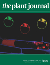 Cover of The Plant Journal, featuring study using the protocol.