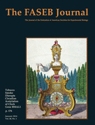 Cover of The FASEB Journal, featuring study using the protocol.