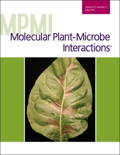 Cover of Molecular Plant Microbe Interactions, featuring study using the protocol.