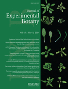 Cover of Journal of Experimental Botany, featuring study using the protocol.