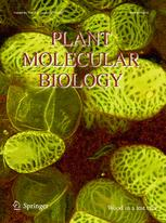Cover of Plant Molecular Biology, featuring study using the protocol.