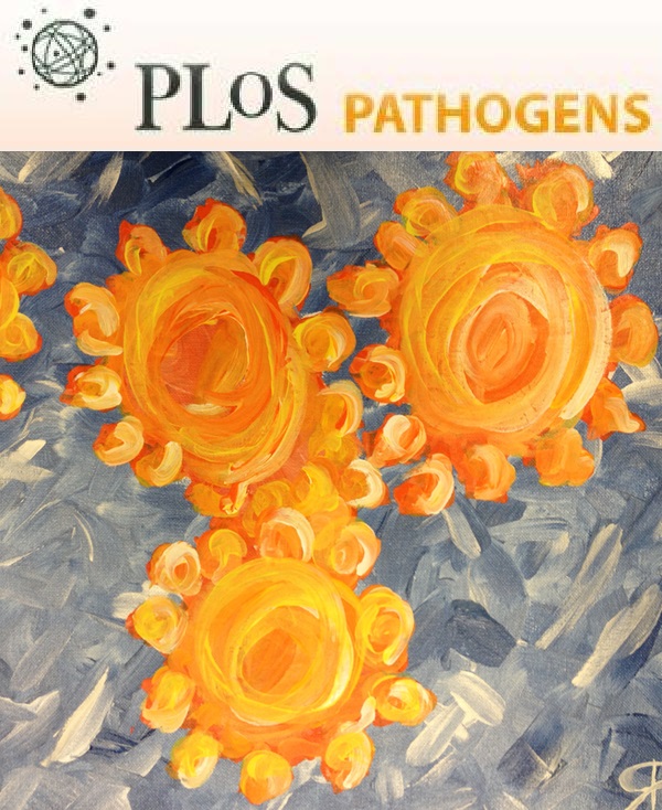 Cover of PLOS Pathogens, featuring study using the protocol.