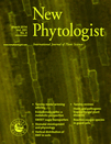 Cover of New Phytologist, featuring study using the protocol.