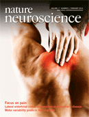 Cover of Nature Neuroscience, featuring study using the protocol.