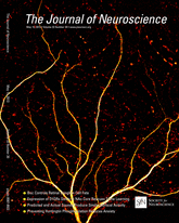 Cover of The Journal of Neuroscience, featuring study using the protocol.