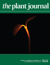 Cover of The Plant Journal, featuring study using the protocol.