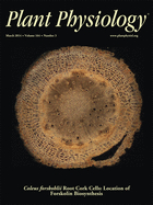 Cover of Plant Physiology, featuring study using the protocol.