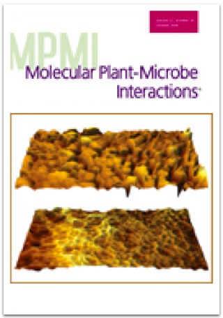 Cover of Molecular Plant Microbe Interactions, featuring study using the protocol.