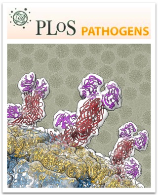 Cover of PLOS Pathogens, featuring study using the protocol.