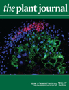 Cover of The Plant Journal, featuring study using the protocol.