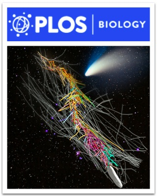 Cover of PLOS Biology, featuring study using the protocol.