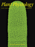 Cover of Plant Physiology, featuring study using the protocol.