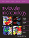 Cover of Molecular Microbiology, featuring study using the protocol.