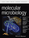 Cover of Molecular Microbiology, featuring study using the protocol.