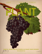 Cover of The Plant Cell, featuring study using the protocol.
