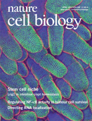 Cover of Nature Cell Biology, featuring study using the protocol.