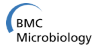 Cover of BMC Microbiology, featuring study using the protocol.