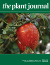 Cover of The Plant Journal, featuring study using the protocol.