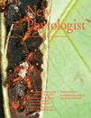 Cover of New Phytologist, featuring study using the protocol.