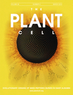 Cover of The Plant Cell, featuring study using the protocol.