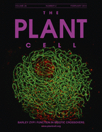 Cover of The Plant Cell, featuring study using the protocol.