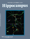 Cover of Hippocampus, featuring study using the protocol.