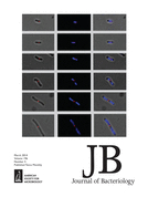 Cover of Journal of Bacteriology, featuring study using the protocol.