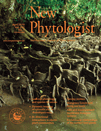 Cover of New Phytologist, featuring study using the protocol.