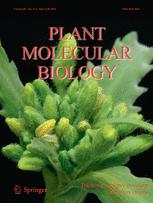 Cover of Plant Molecular Biology, featuring study using the protocol.