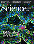 Cover of Science, featuring study using the protocol.