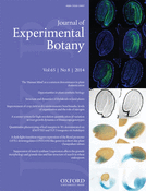 Cover of Journal of Experimental Botany, featuring study using the protocol.