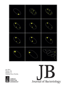 Cover of Journal of Bacteriology, featuring study using the protocol.