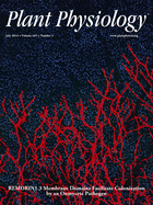 Cover of Plant Physiology, featuring study using the protocol.