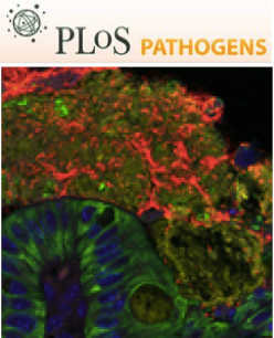 Cover of PLOS Pathogens, featuring study using the protocol.