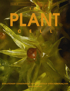 Cover of The Plant Cell, featuring study using the protocol.