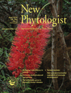 Cover of New Phytologist, featuring study using the protocol.