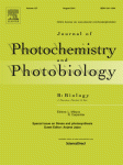 Cover of Journal of Photochemistry and Photobiology B: Biology, featuring study using the protocol.