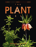 Cover of The Plant Cell, featuring study using the protocol.