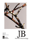 Cover of Journal of Bacteriology, featuring study using the protocol.