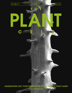 Cover of The Plant Cell, featuring study using the protocol.