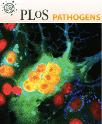 Cover of PLOS Pathogens, featuring study using the protocol.