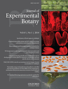Cover of Journal of Experimental Botany, featuring study using the protocol.