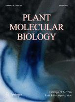 Cover of Plant Molecular Biology, featuring study using the protocol.