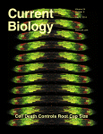 Cover of Current Biology, featuring study using the protocol.