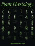 Cover of Plant Physiology, featuring study using the protocol.