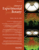Cover of Journal of Experimental Botany, featuring study using the protocol.