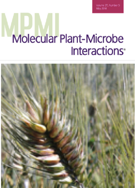 Cover of Molecular Plant Microbe Interactions, featuring study using the protocol.