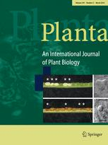 Cover of Planta, featuring study using the protocol.