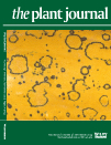 Cover of The Plant Journal, featuring study using the protocol.