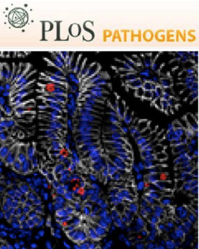 Cover of PLOS Pathogens, featuring study using the protocol.